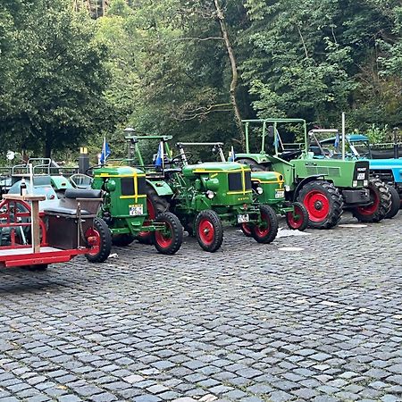 Landgasthof Zur Burg Grenzau Hohr-Grenzhausen Bagian luar foto