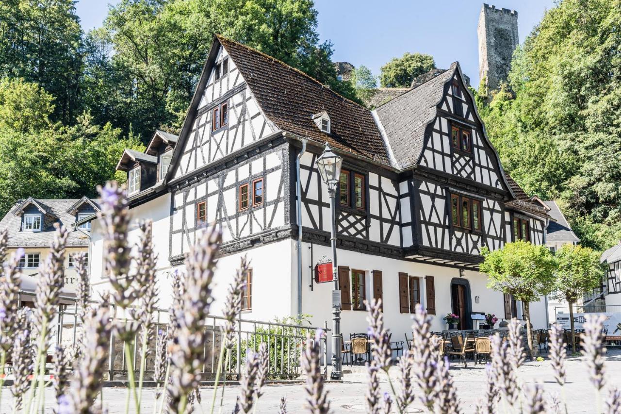 Landgasthof Zur Burg Grenzau Hohr-Grenzhausen Bagian luar foto